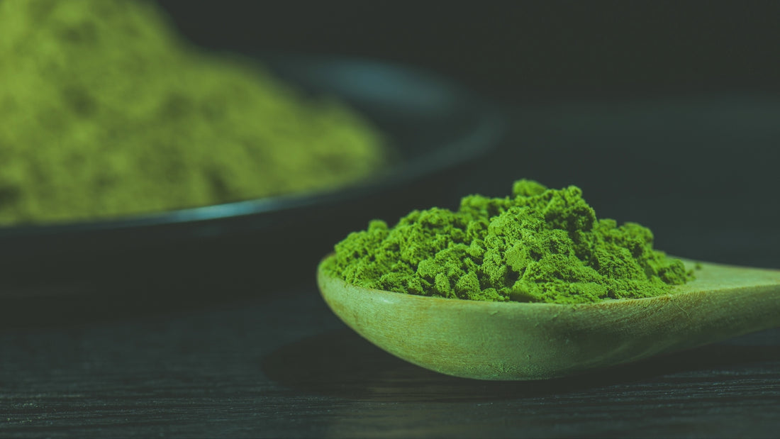 Real vs Fake Matcha: How To Distinguish “Real” Matcha