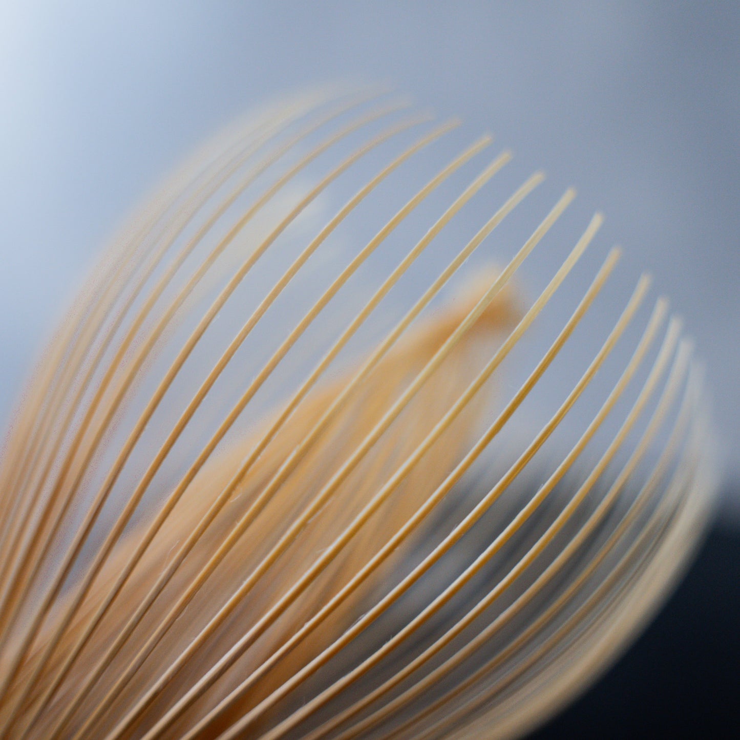 Takayama Shin for Emptea Matcha Bamboo Whisk (Chasen 真)