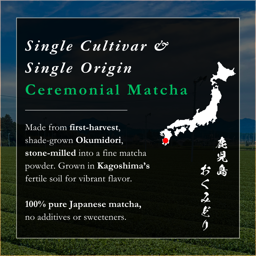 Emptea Ceremonial Grade Organic Okumidori Matcha - Single Cultivar Single Origin from Kagoshima 1.06oz 30g