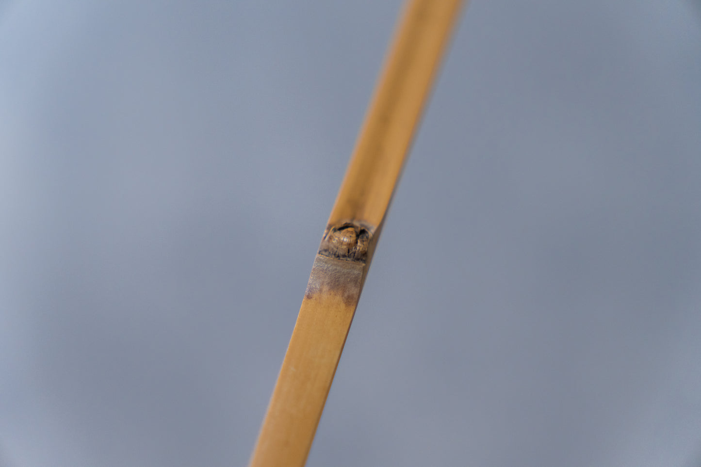 Emptea Katana Smoked Bamboo Scoop with a traditional tea chest (Chashaku 刀)