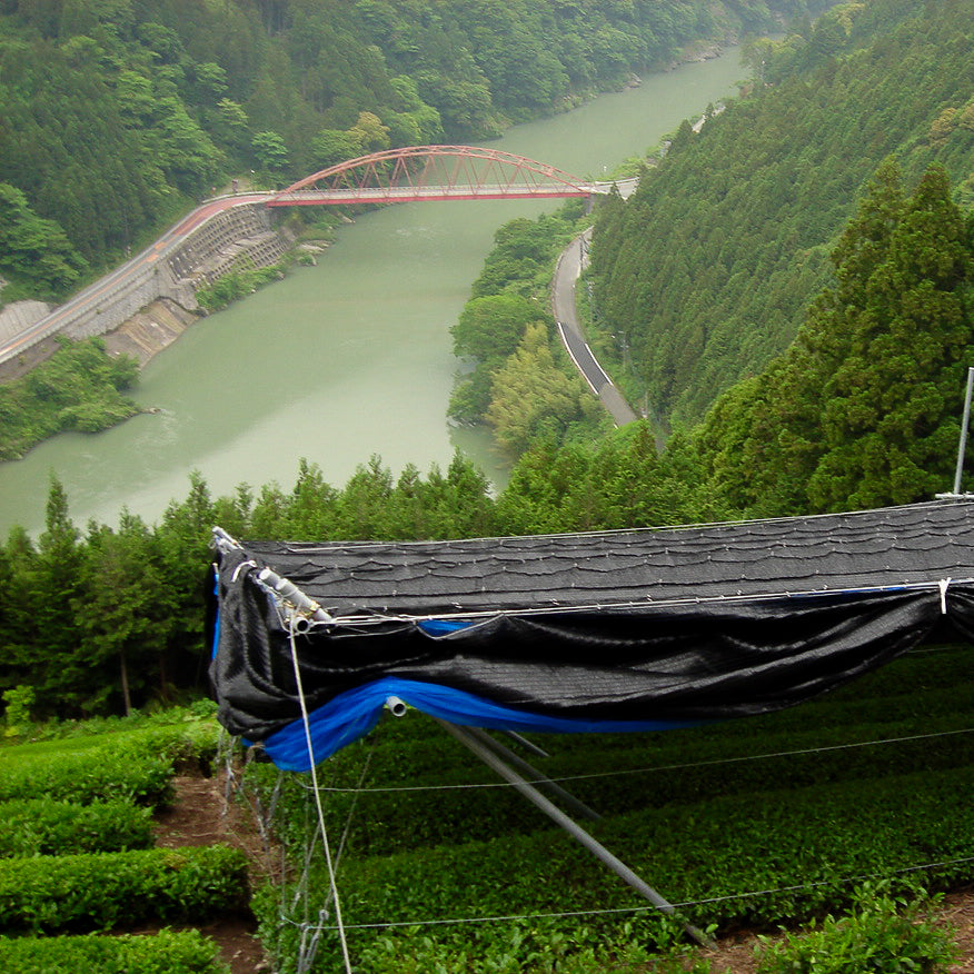 Emptea Ku (空) Premium Ceremonial Matcha - Hand-picked, Single Origin Samidori Single Cultivar from Tenryu Japan - 1.06oz (30g)