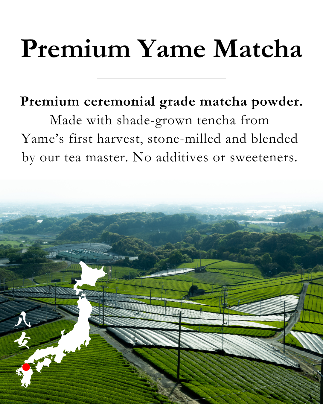 Emptea Yame Blend Matcha Powder Premium Ceremonial Grade – First Harvest Stone-milled 1.06 oz (30g) Tin